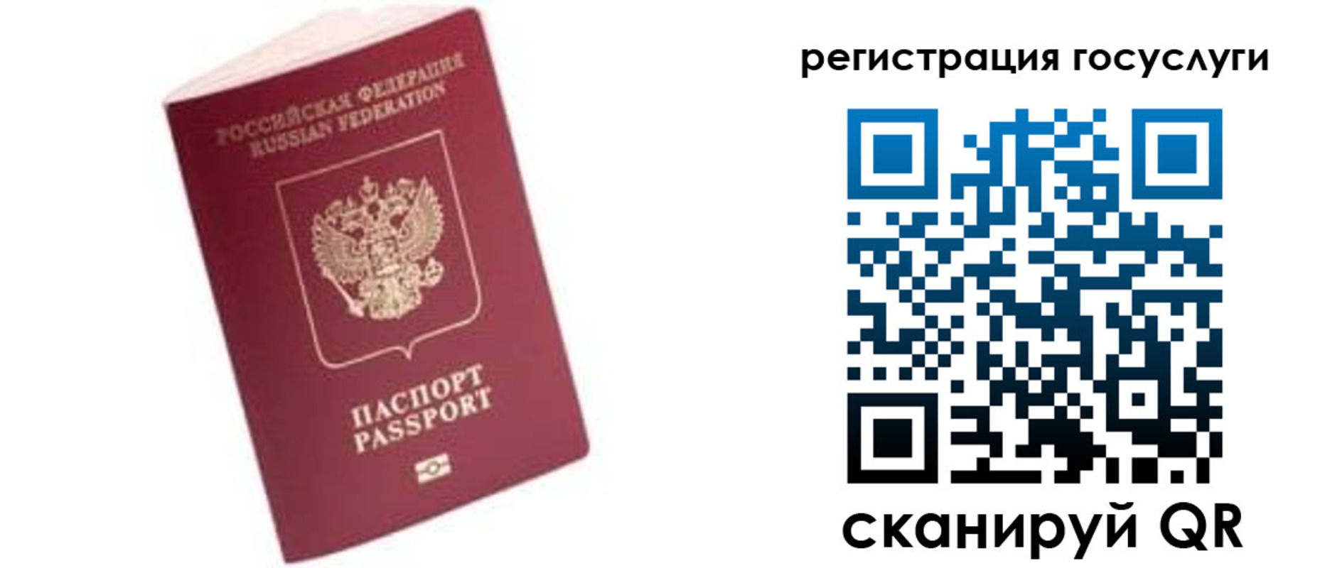прописка поиск в Отрадном